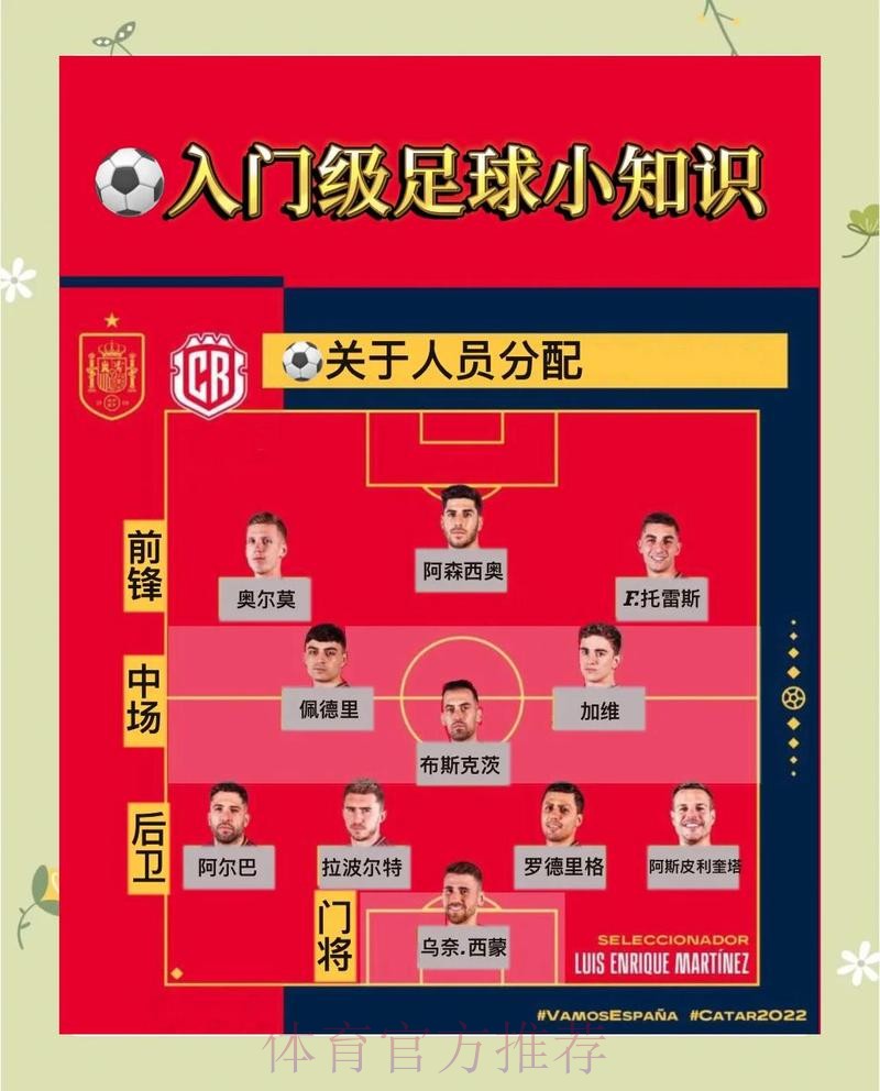 世界杯投注流程全解，避坑指南必不可少
